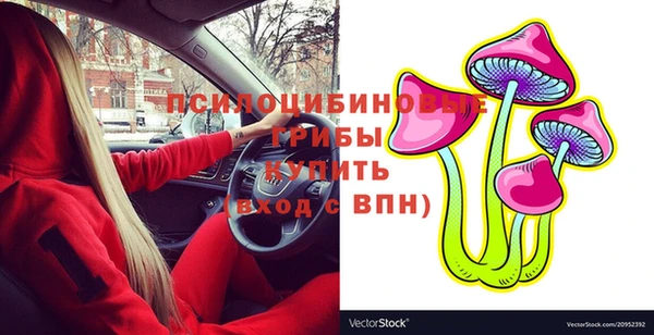 шишки Магадан