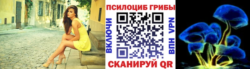 как найти   Арсеньев  Галлюциногенные грибы Psilocybe 